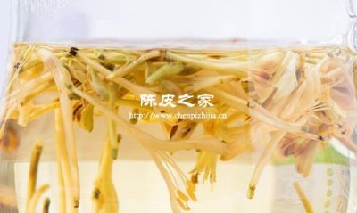 金銀花和陳皮是泡水還是煮水喝