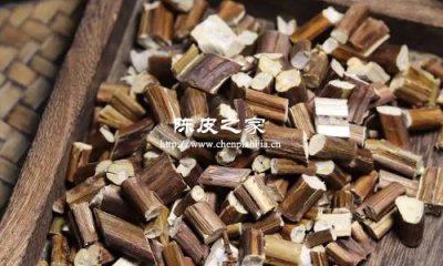 紫蘇梗陳皮泡水喝的功效與作用