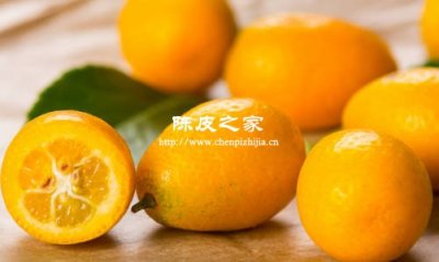 金桔陳皮加冰糖熬煮會上火嗎