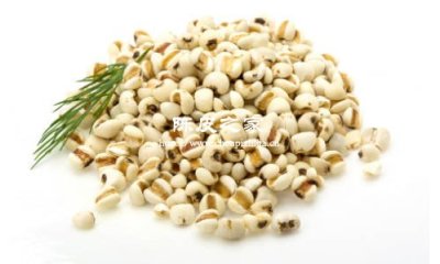 備孕能喝茯苓茶薏米陳皮水嗎