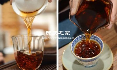 陳皮普洱怎么泡比較好喝