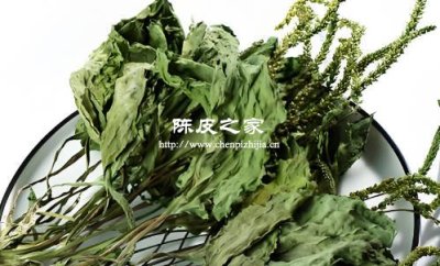 車前草陳皮煮水喝有什么功效