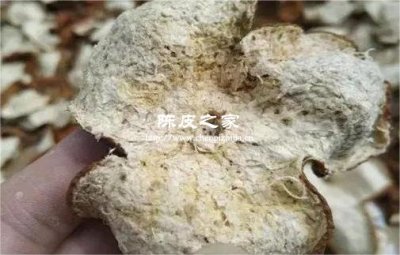 泡陳皮要把背面的白囊刮掉嗎