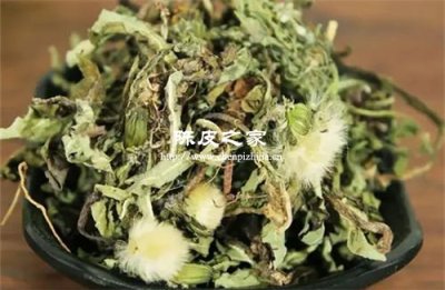 蒲公英可以和陳皮大棗泡水喝嗎