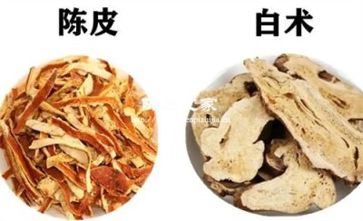 白術(shù)和陳皮泡水喝能長期喝嗎