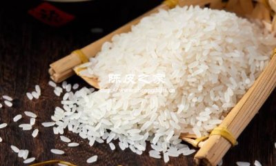 大米和生姜陳皮能不能一起煮著喝