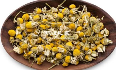 陳皮胎菊紅棗一起泡水喝功效