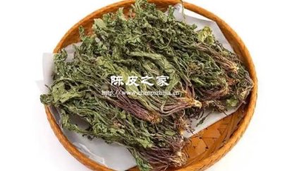 陳皮與蒲公英和玫瑰泡水喝