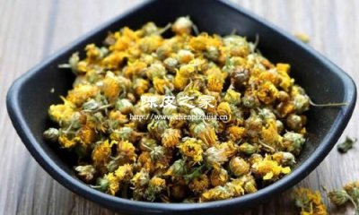 陳皮菊花冰糖泡水喝的功效