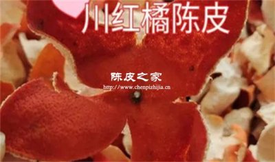 川陳皮和新會陳皮藥效有區別嗎