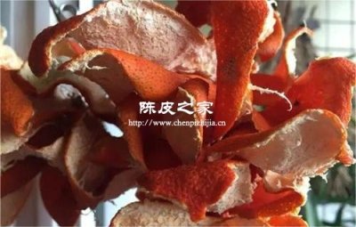 放了一年的干桔皮還能做陳皮嗎