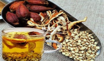 梔子陳皮薏米泡水喝有什么功效