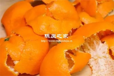 沒有陳皮可以用新鮮的橘子皮嗎