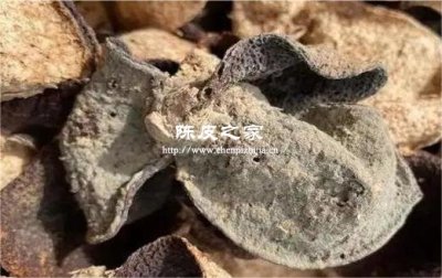 霉變的陳皮泡水喝有什么味道