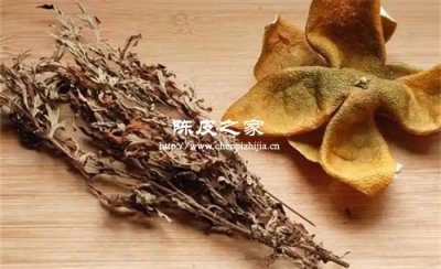 艾葉陳皮甘草煲水喝的功效