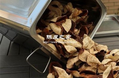 二十年陳皮是指陳放時間還是樹齡