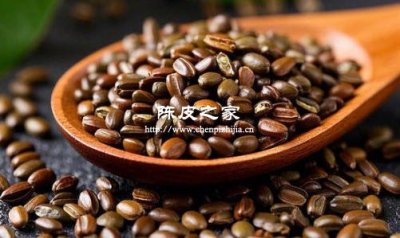 陳皮和決明子泡水喝的功效與作用