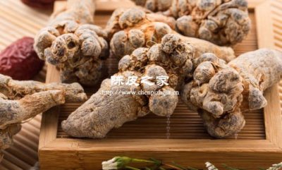 三七陳皮一起打粉吃的功效