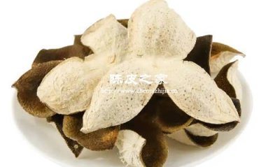 如何挑選好的陳皮