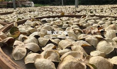 陳皮的制作能在太陽下曬嗎