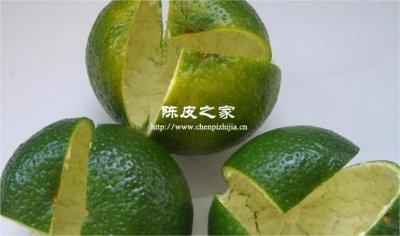 新會(huì)陳皮什么時(shí)候開始采摘