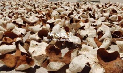 曬陳皮要不要反向皮那邊曬，這是為什么