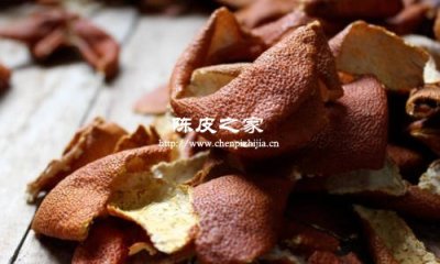 生姜紫蘇陳皮水功效與作用