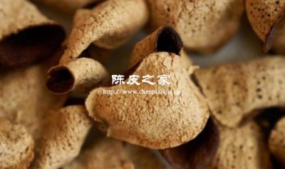 陳皮能夠治療那方面的疾病