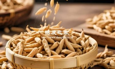 陳皮麥冬可以一起煮水嗎