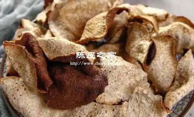 新會陳皮和廣陳皮用的都是哪一種類的皮