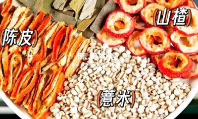 陳皮山楂薏仁水喝完之后老放屁是為啥