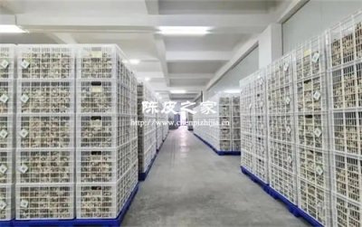 智能恒溫倉如何顛覆傳統陳皮陳化工藝?