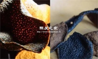 你買的陳皮是真的嗎？3招教你避開“做舊皮”陷阱