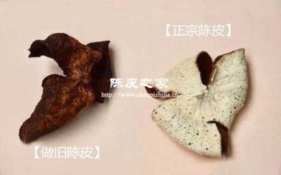 辨真假！陳皮的4個(gè)核心鑒別法