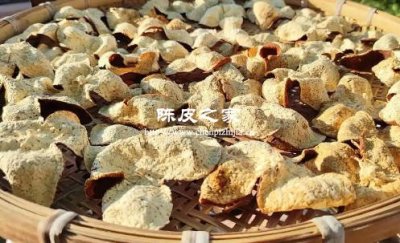 新會(huì)陳皮的品質(zhì)都是一樣的嗎
