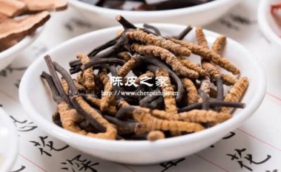 冬蟲夏草加陳皮泡水喝有什么功效