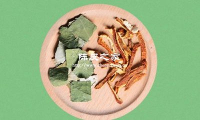 荷葉加竹葉加陳皮泡水可以嗎，有什么功效