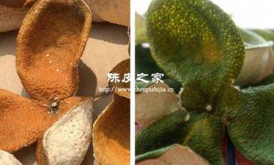 陳皮價格大揭秘：近年走勢與當下行情