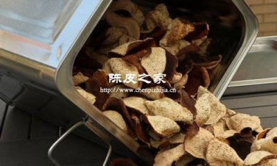 陳皮陳化：菌群如何改風味、變品質？