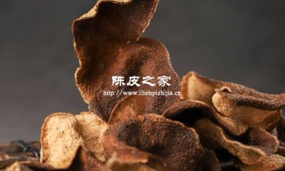 新會(huì)陳皮出圈，背后的基因與品質(zhì)關(guān)聯(lián)