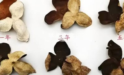 不同顏色的陳皮在功效上有區別嗎