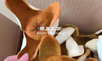 大紅皮跟二紅皮陳皮哪個更貴