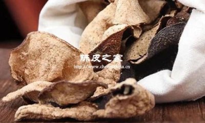 從中醫(yī)角度看陳皮的藥用價值
