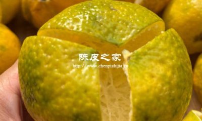 陳皮的炮制工藝與口感的微妙關(guān)系