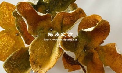 陳皮香氣成分與人體情緒調節的關聯研究