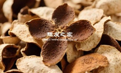 吃陳皮會上火嗎?答案來了