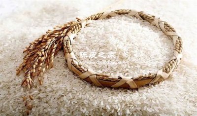 雨季祛濕神器！陳皮炒米茶快手做法