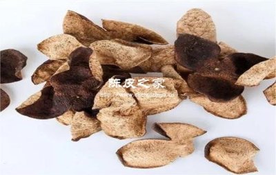 陳皮的抗氧化能力是維生素E的幾倍?