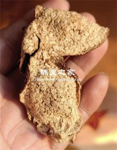 蟲蛀陳皮該丟棄還是挽救?分級(jí)處置方案全解析