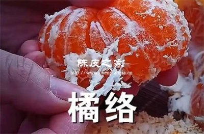 吃完橘肉扔橘絡?你扔掉了血管清道夫